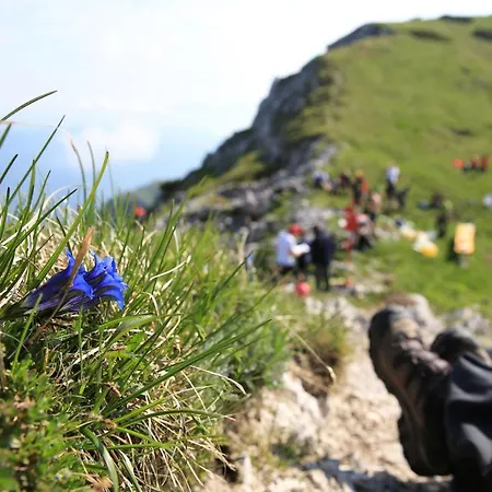Bohinj, Metka - Pri Metki