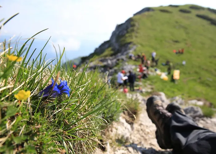 Bohinj, Metka - Pri Metki